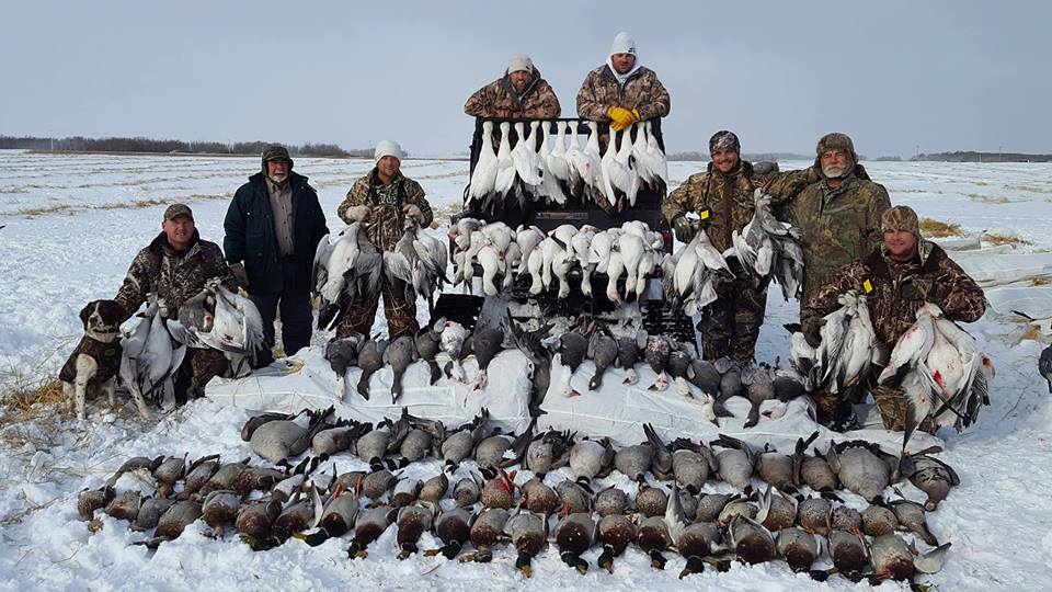Goose Hunting Tactics